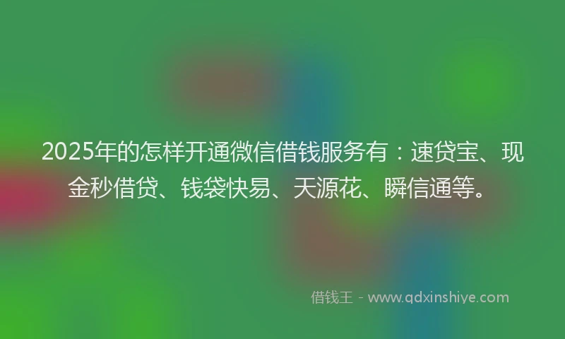 2025年的怎样开通微信借钱服务有：速贷宝、现金秒借贷、钱袋快易、天源花、瞬信通等。