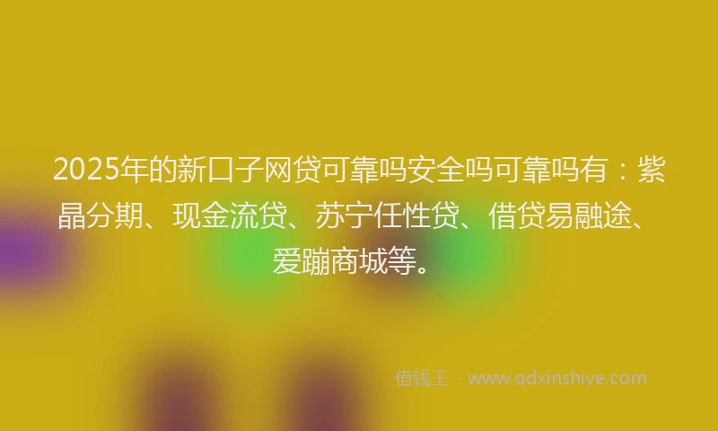 2025年的新口子网贷可靠吗安全吗可靠吗有：紫晶分期、现金流贷、苏宁任性贷、借贷易融途、爱蹦商城等。