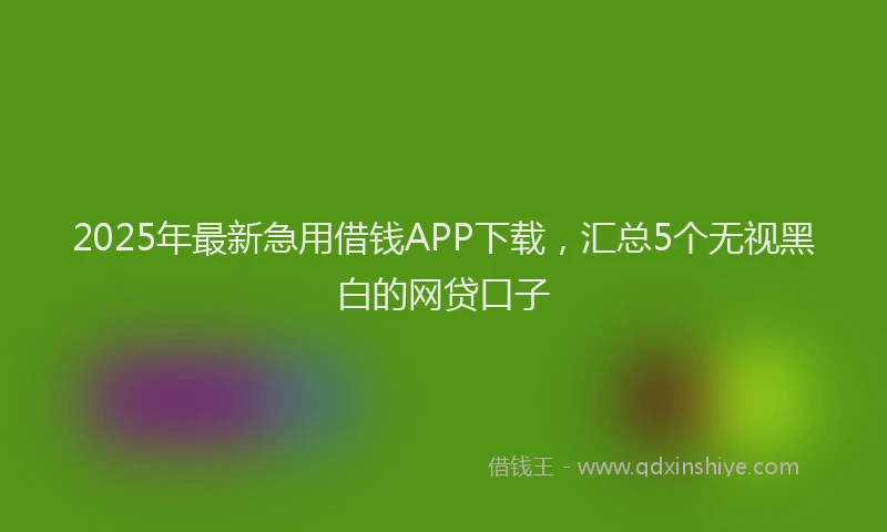2025年最新急用借钱APP下载，汇总5个无视黑白的网贷口子