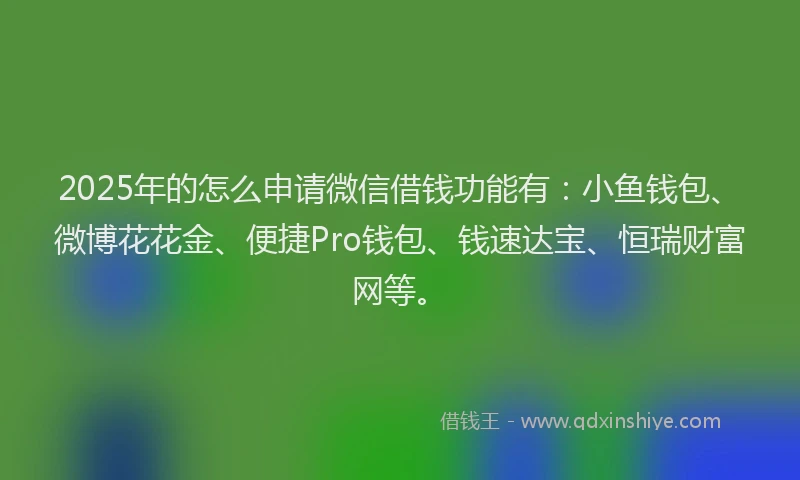 2025年的怎么申请微信借钱功能有：小鱼钱包、微博花花金、便捷Pro钱包、钱速达宝、恒瑞财富网等。