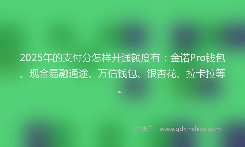 2025年的支付分怎样开通额度有：金诺Pro钱包、现金易融通途、万信钱包、银杏花、拉卡拉等。