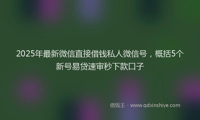 2025年最新微信直接借钱私人微信号，概括5个新号易贷速审秒下款口子