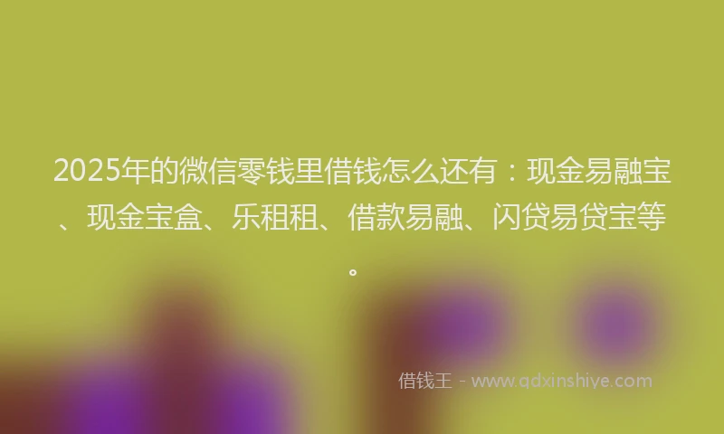 2025年的微信零钱里借钱怎么还有：现金易融宝、现金宝盒、乐租租、借款易融、闪贷易贷宝等。