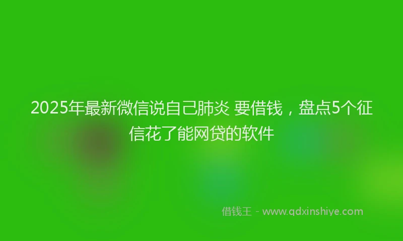 2025年最新微信说自己肺炎 要借钱，盘点5个征信花了能网贷的软件