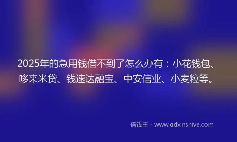 2025年的急用钱借不到了怎么办有：小花钱包、哆来米贷、钱速达融宝、中安信业、小麦粒等。