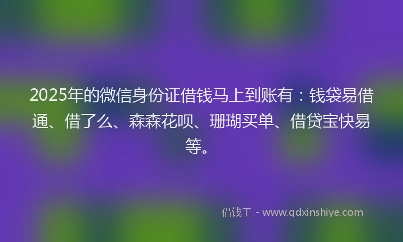 2025年的微信身份证借钱马上到账有：钱袋易借通、借了么、森森花呗、珊瑚买单、借贷宝快易等。
