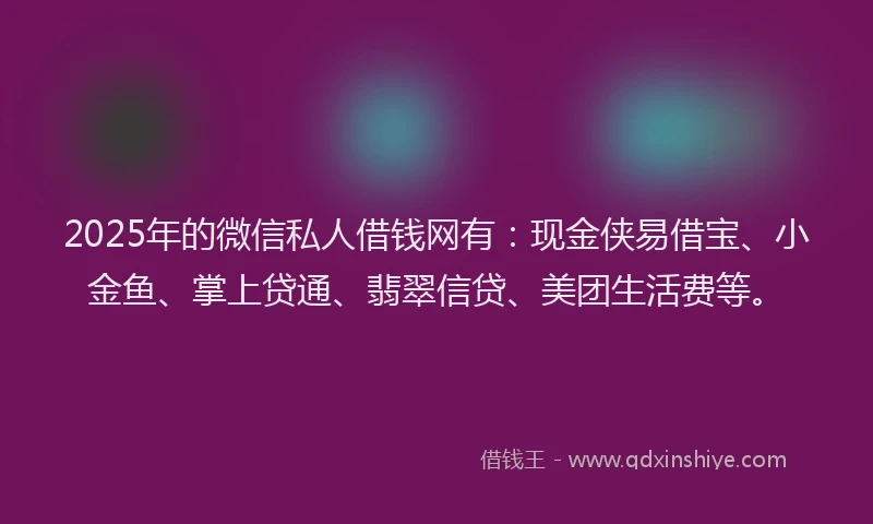 2025年的微信私人借钱网有：现金侠易借宝、小金鱼、掌上贷通、翡翠信贷、美团生活费等。