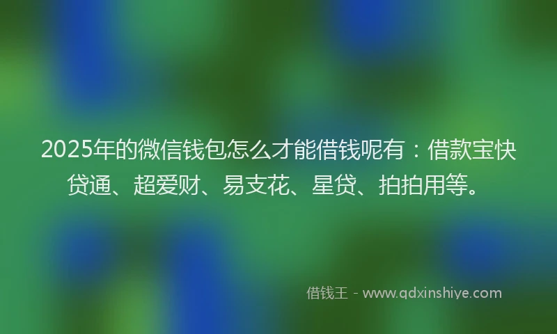 2025年的微信钱包怎么才能借钱呢有：借款宝快贷通、超爱财、易支花、星贷、拍拍用等。