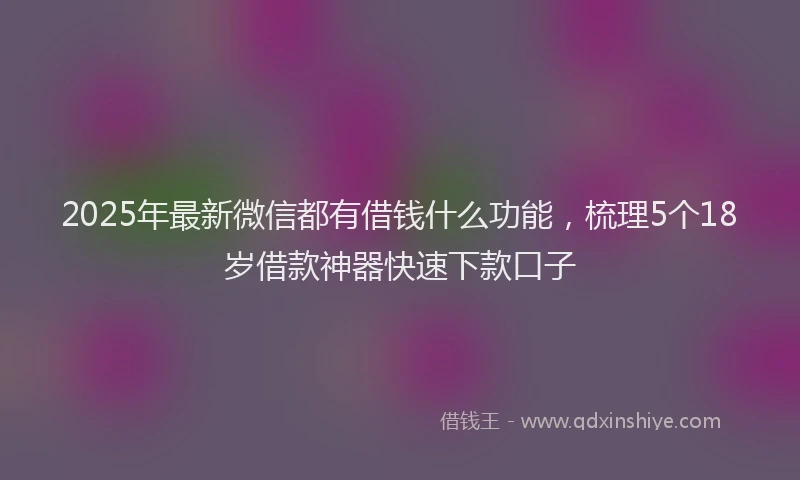 2025年最新微信都有借钱什么功能，梳理5个18岁借款神器快速下款口子