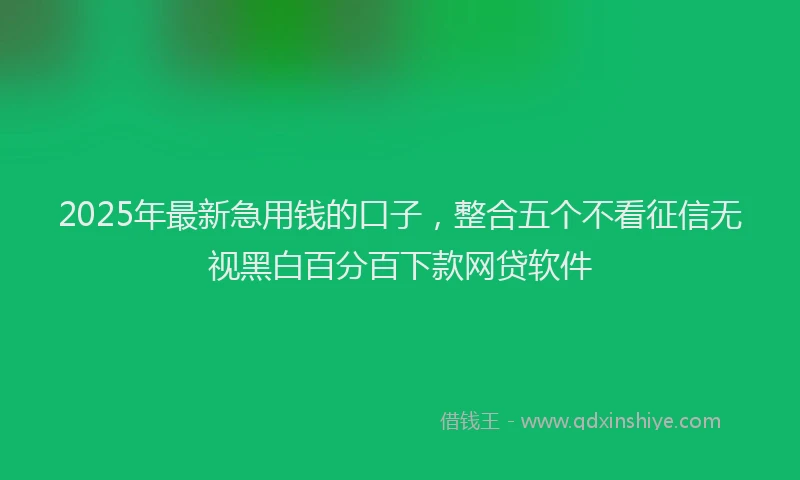 2025年最新急用钱的口子，整合五个不看征信无视黑白百分百下款网贷软件