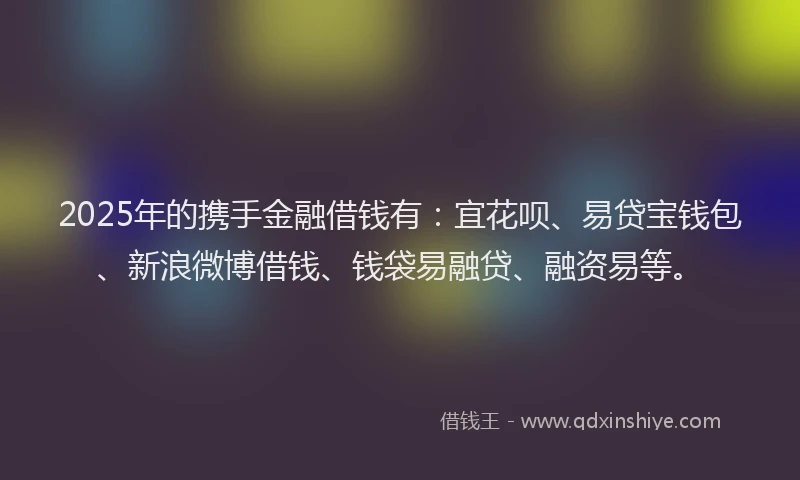 2025年的携手金融借钱有：宜花呗、易贷宝钱包、新浪微博借钱、钱袋易融贷、融资易等。