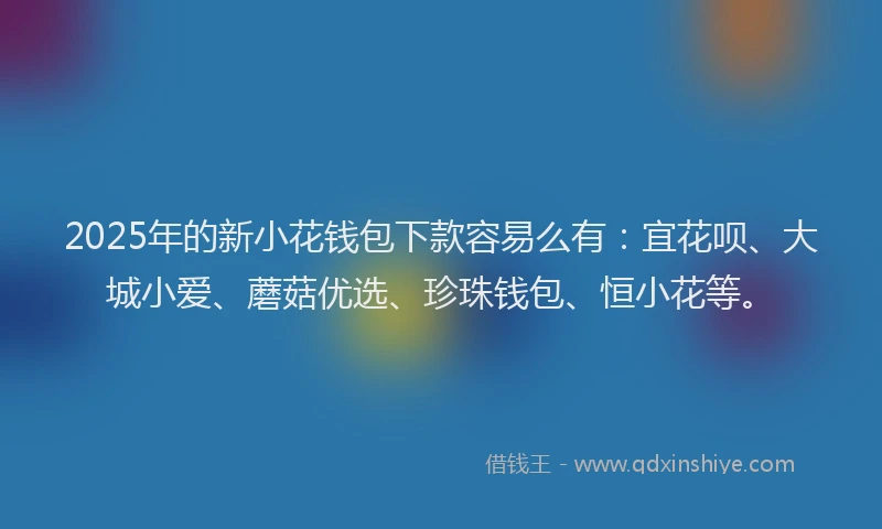 2025年的新小花钱包下款容易么有：宜花呗、大城小爱、蘑菇优选、珍珠钱包、恒小花等。
