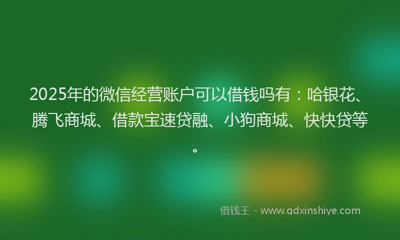 2025年的微信经营账户可以借钱吗有：哈银花、腾飞商城、借款宝速贷融、小狗商城、快快贷等。