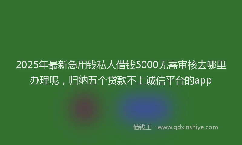 2025年最新急用钱私人借钱5000无需审核去哪里办理呢，归纳五个贷款不上诚信平台的app