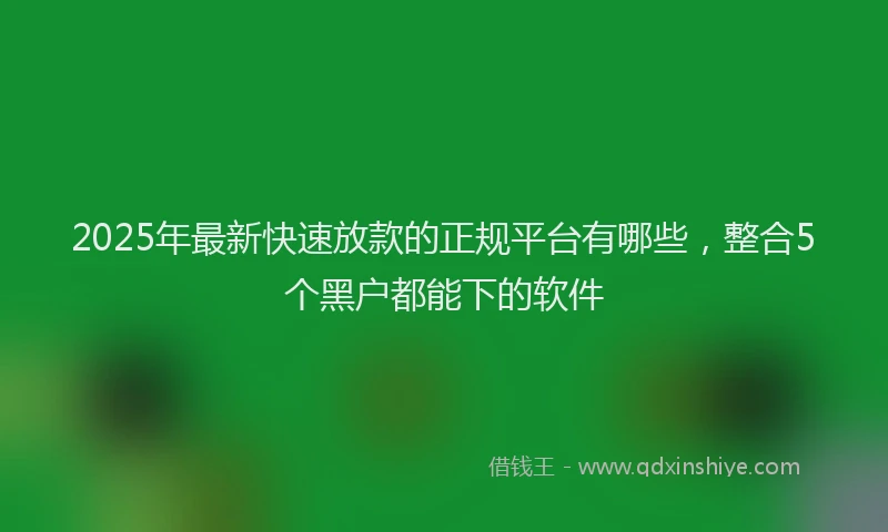 2025年最新快速放款的正规平台有哪些，整合5个黑户都能下的软件