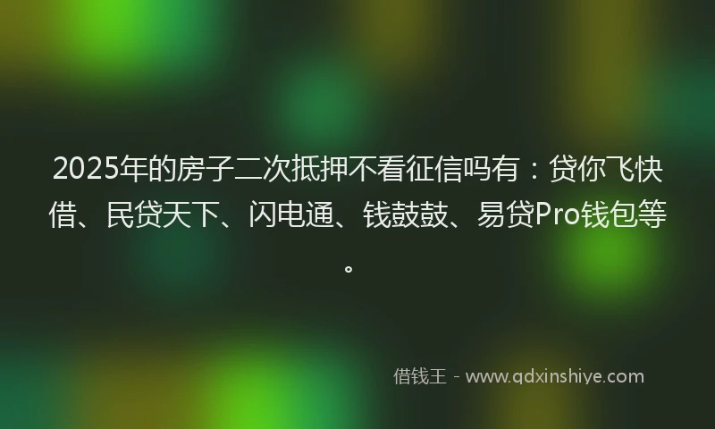 2025年的房子二次抵押不看征信吗有：贷你飞快借、民贷天下、闪电通、钱鼓鼓、易贷Pro钱包等。
