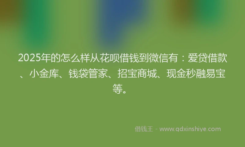 2025年的怎么样从花呗借钱到微信有：爱贷借款、小金库、钱袋管家、招宝商城、现金秒融易宝等。