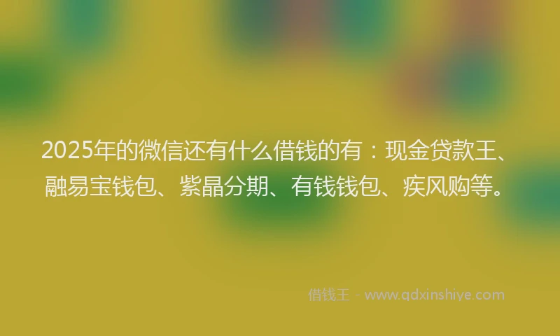 2025年的微信还有什么借钱的有：现金贷款王、融易宝钱包、紫晶分期、有钱钱包、疾风购等。