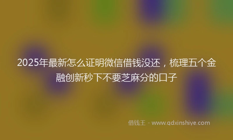 2025年最新怎么证明微信借钱没还，梳理五个金融创新秒下不要芝麻分的口子