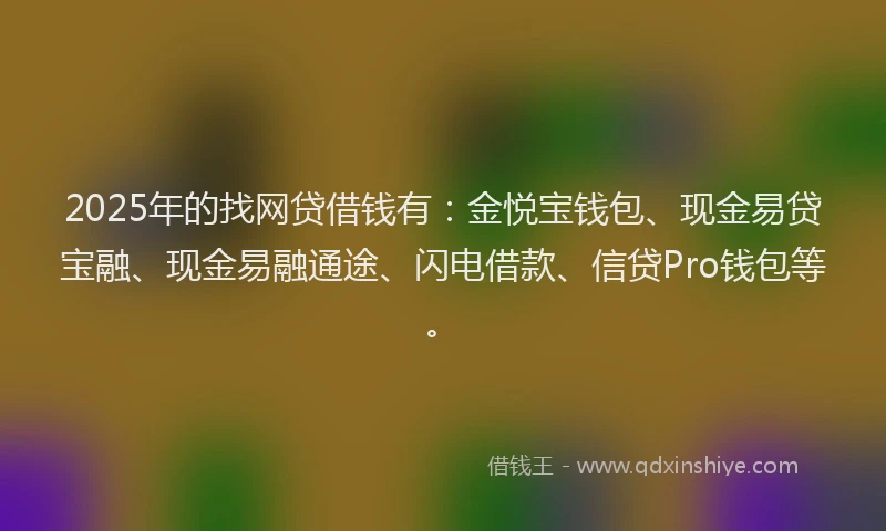 2025年的找网贷借钱有：金悦宝钱包、现金易贷宝融、现金易融通途、闪电借款、信贷Pro钱包等。