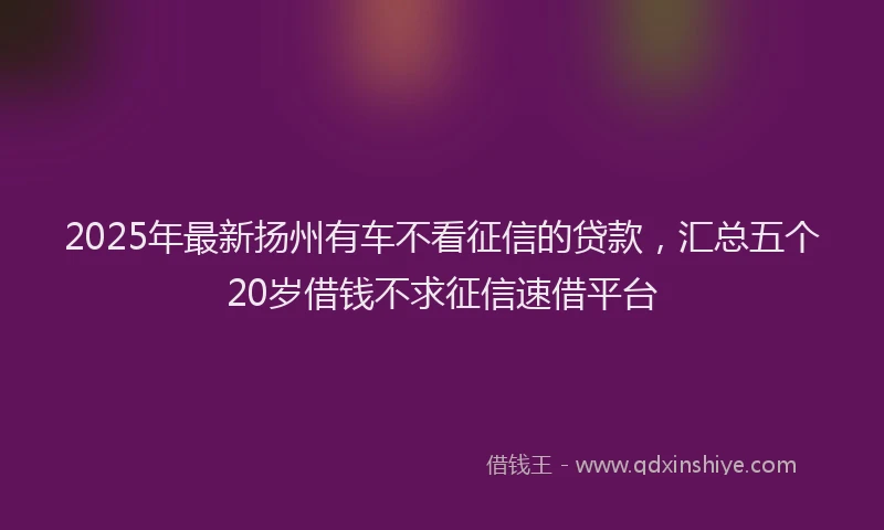 2025年最新扬州有车不看征信的贷款，汇总五个20岁借钱不求征信速借平台