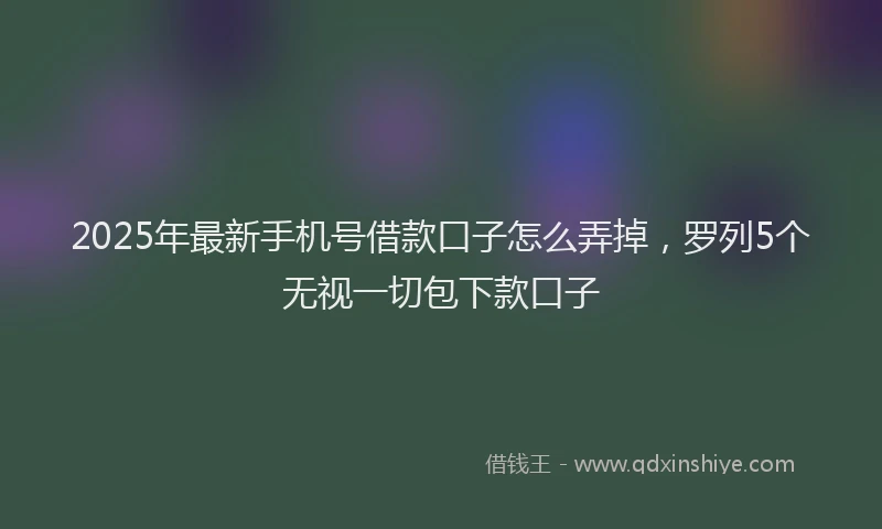 2025年最新手机号借款口子怎么弄掉，罗列5个无视一切包下款口子