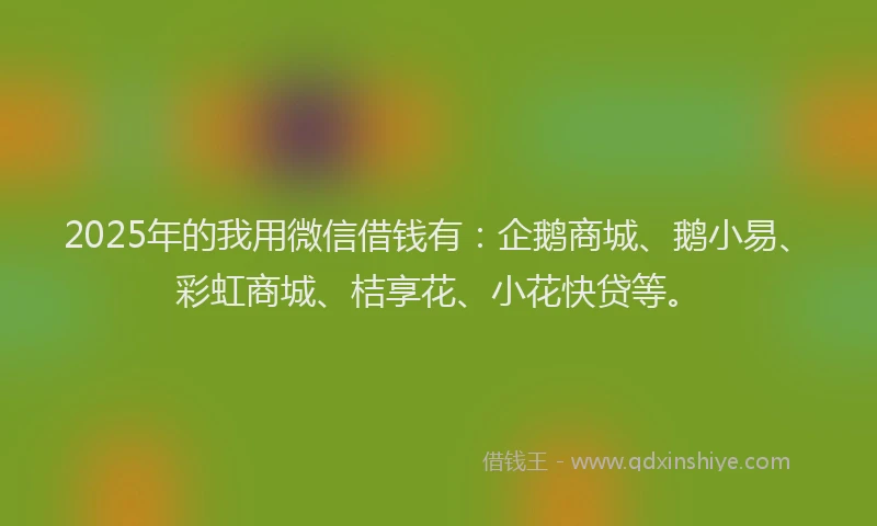 2025年的我用微信借钱有：企鹅商城、鹅小易、彩虹商城、桔享花、小花快贷等。