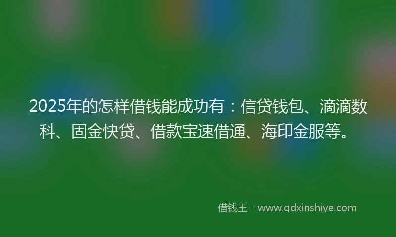 2025年的怎样借钱能成功有：信贷钱包、滴滴数科、固金快贷、借款宝速借通、海印金服等。