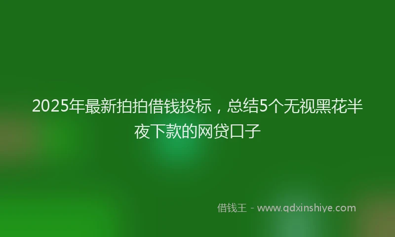 2025年最新拍拍借钱投标，总结5个无视黑花半夜下款的网贷口子