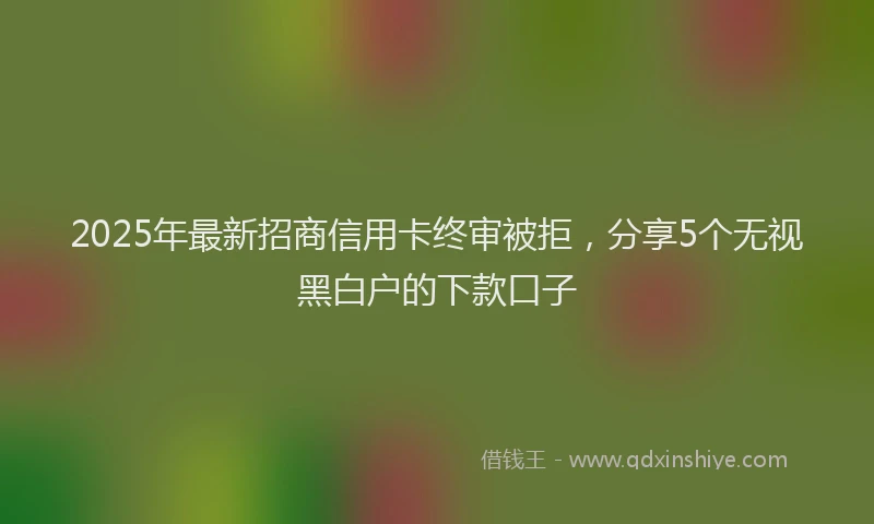 2025年最新招商信用卡终审被拒，分享5个无视黑白户的下款口子