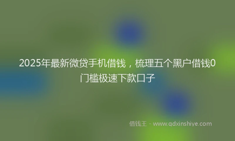 2025年最新微贷手机借钱，梳理五个黑户借钱0门槛极速下款口子