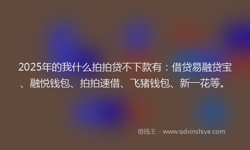 2025年的我什么拍拍贷不下款有：借贷易融贷宝、融悦钱包、拍拍速借、飞猪钱包、新一花等。