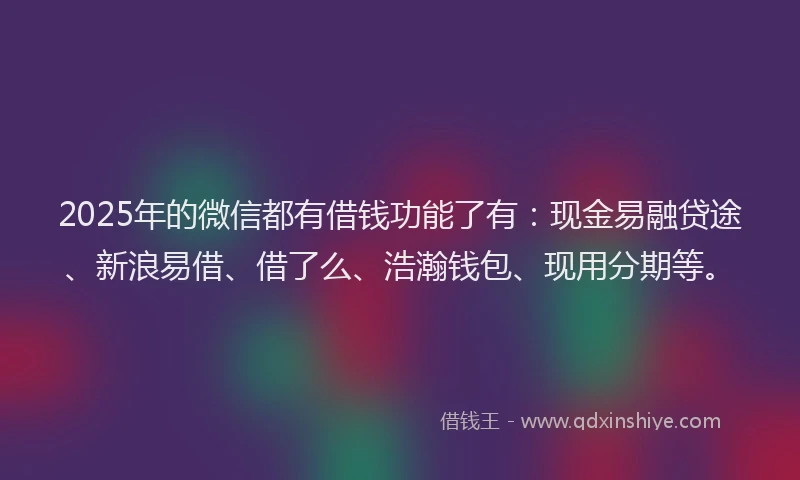 2025年的微信都有借钱功能了有：现金易融贷途、新浪易借、借了么、浩瀚钱包、现用分期等。