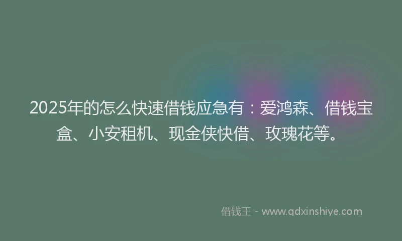 2025年的怎么快速借钱应急有：爱鸿森、借钱宝盒、小安租机、现金侠快借、玫瑰花等。