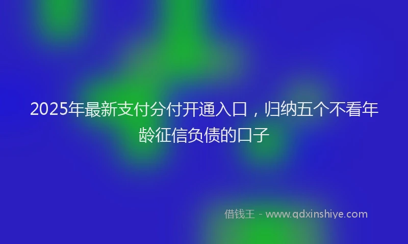 2025年最新支付分付开通入口，归纳五个不看年龄征信负债的口子