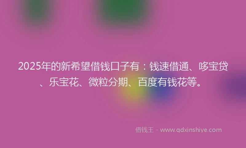 2025年的新希望借钱口子有：钱速借通、哆宝贷、乐宝花、微粒分期、百度有钱花等。