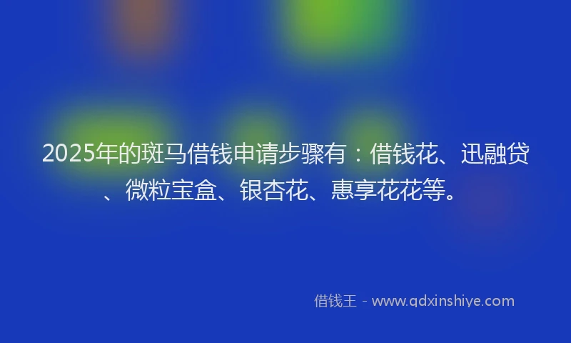 2025年的斑马借钱申请步骤有：借钱花、迅融贷、微粒宝盒、银杏花、惠享花花等。
