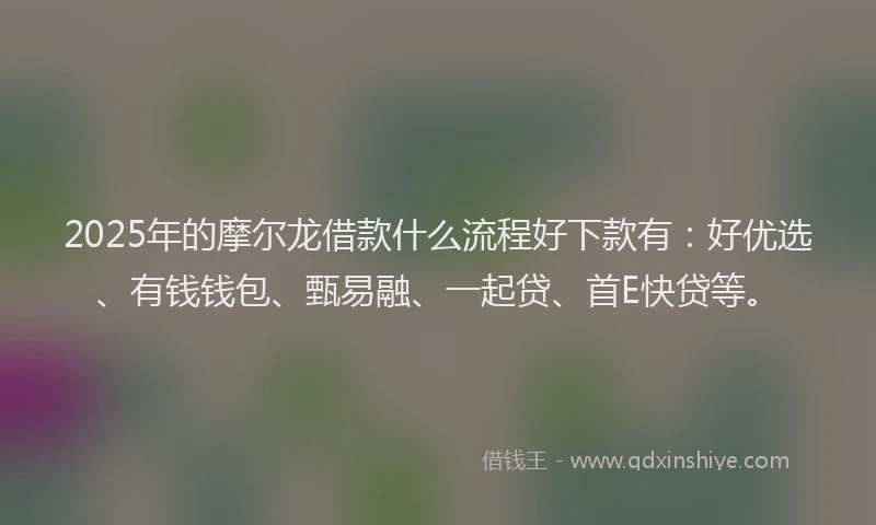 2025年的摩尔龙借款什么流程好下款有：好优选、有钱钱包、甄易融、一起贷、首E快贷等。