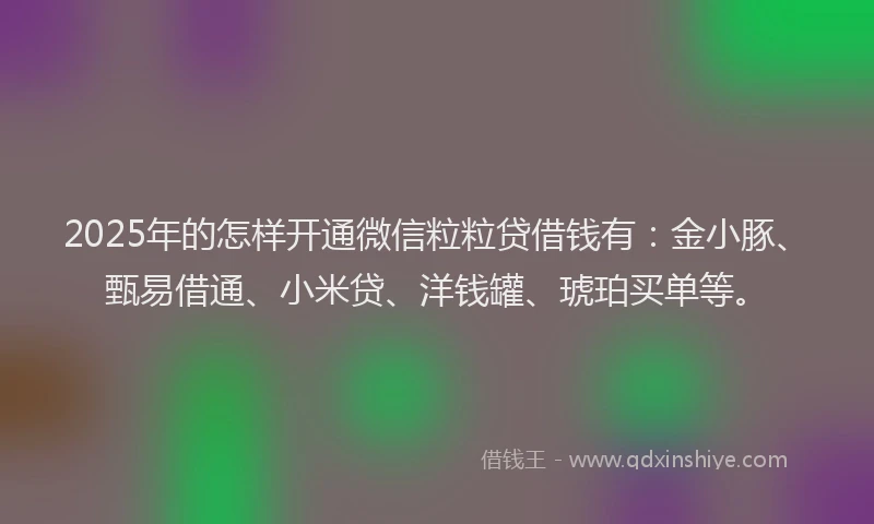 2025年的怎样开通微信粒粒贷借钱有：金小豚、甄易借通、小米贷、洋钱罐、琥珀买单等。