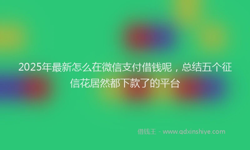 2025年最新怎么在微信支付借钱呢，总结五个征信花居然都下款了的平台