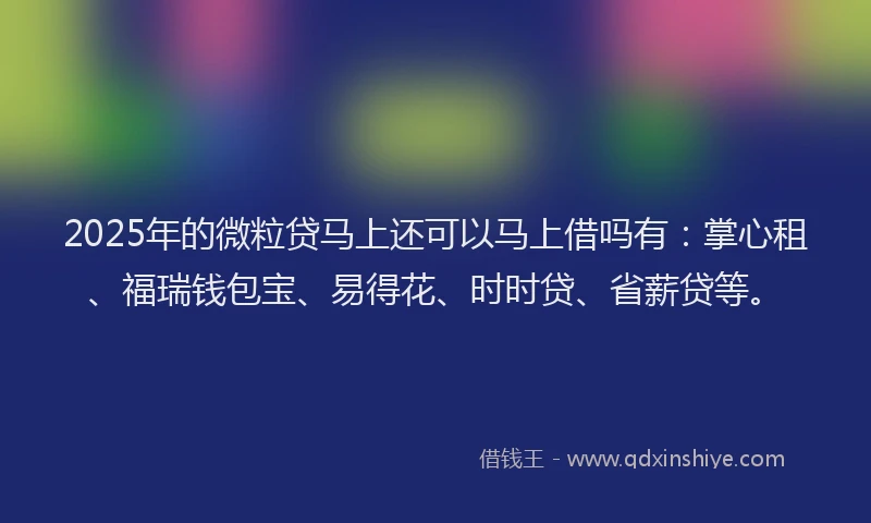 2025年的微粒贷马上还可以马上借吗有：掌心租、福瑞钱包宝、易得花、时时贷、省薪贷等。