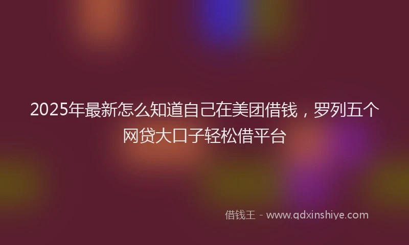2025年最新怎么知道自己在美团借钱，罗列五个网贷大口子轻松借平台
