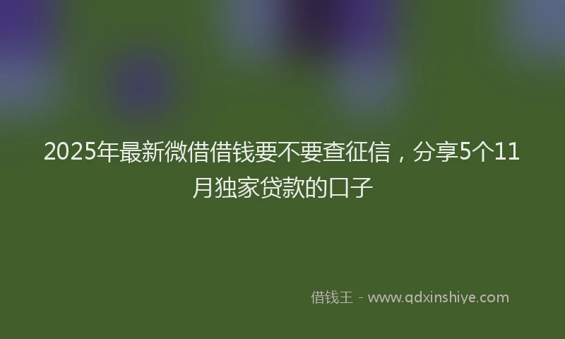 2025年最新微借借钱要不要查征信，分享5个11月独家贷款的口子
