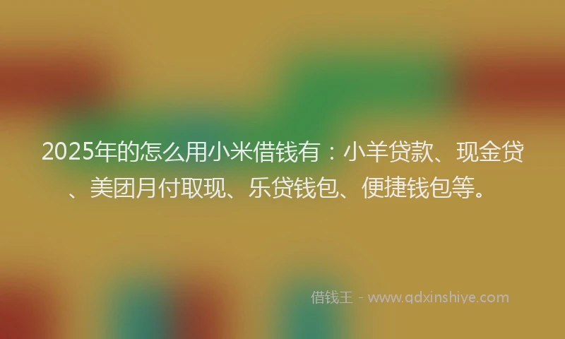 2025年的怎么用小米借钱有：小羊贷款、现金贷、美团月付取现、乐贷钱包、便捷钱包等。