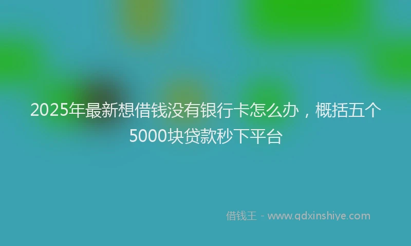2025年最新想借钱没有银行卡怎么办，概括五个5000块贷款秒下平台