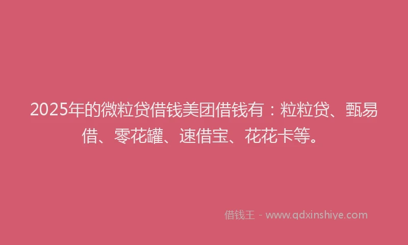 2025年的微粒贷借钱美团借钱有：粒粒贷、甄易借、零花罐、速借宝、花花卡等。
