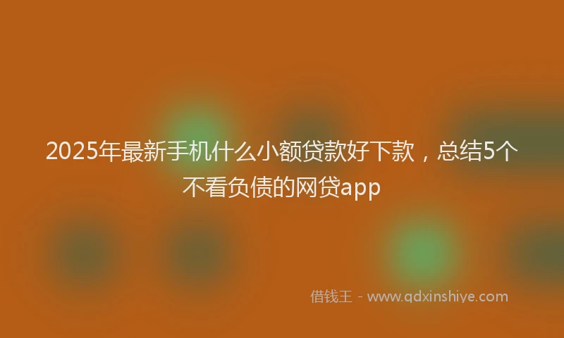 2025年最新手机什么小额贷款好下款，总结5个不看负债的网贷app