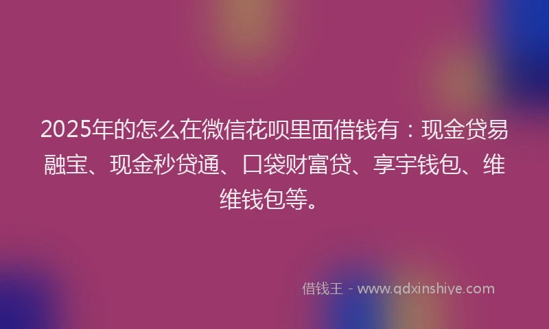 2025年的怎么在微信花呗里面借钱有：现金贷易融宝、现金秒贷通、口袋财富贷、享宇钱包、维维钱包等。