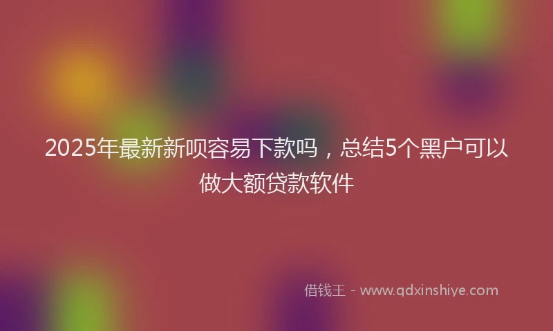 2025年最新新呗容易下款吗，总结5个黑户可以做大额贷款软件
