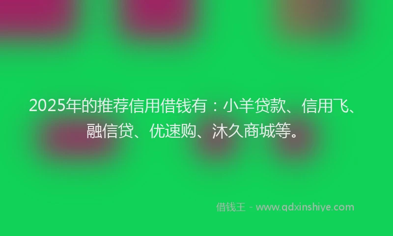 2025年的推荐信用借钱有：小羊贷款、信用飞、融信贷、优速购、沐久商城等。